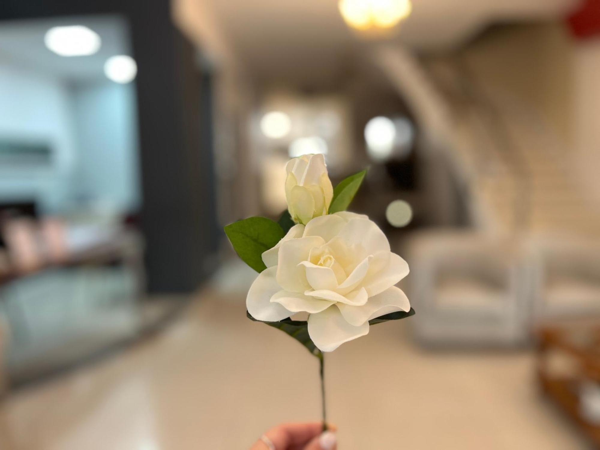 Alpino Hotel Buenos Aires Luaran gambar